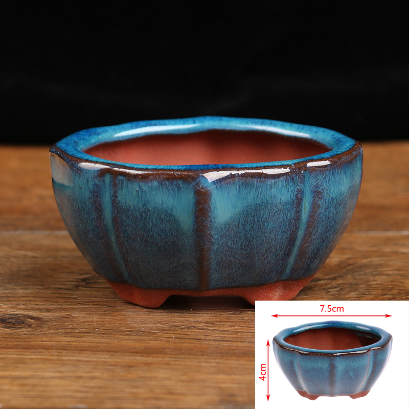 Echeveria Succulent - 1 шт., мини керамический цветочный горшок