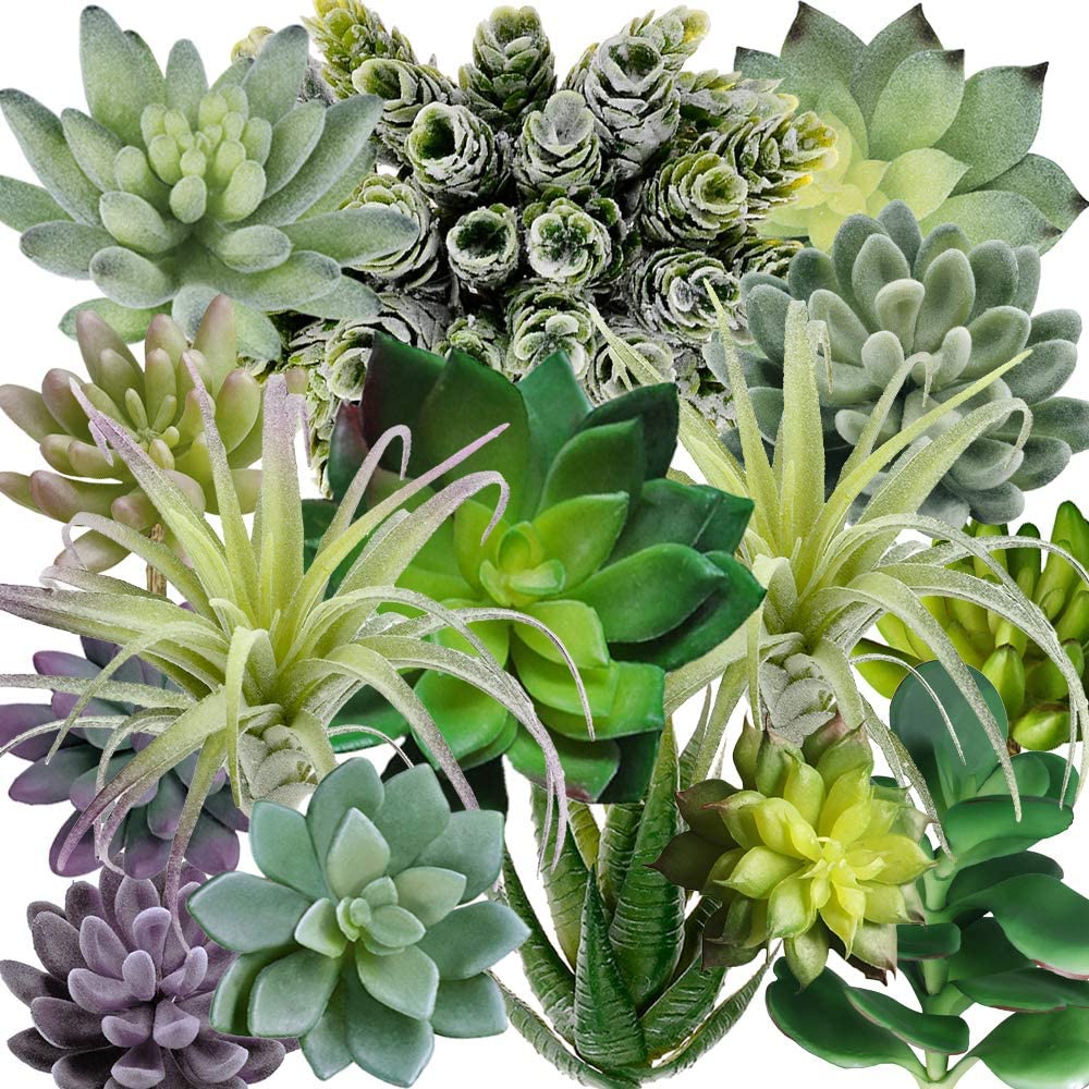 Echeveria Succulent - Набор из 15 искусственных суккулентов в