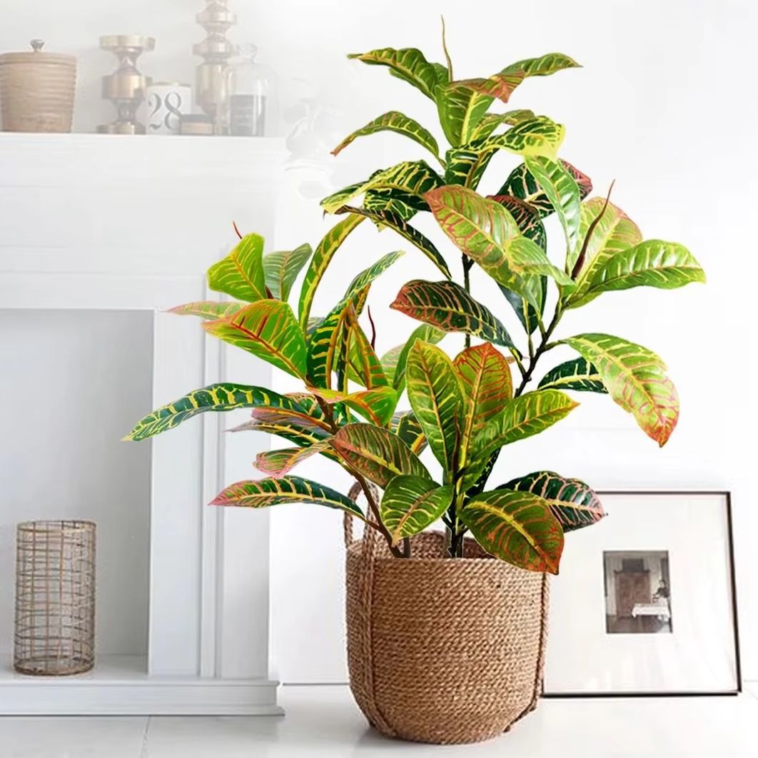 21-120 см искусственное растен – обзор и цена Dracaena Marginata