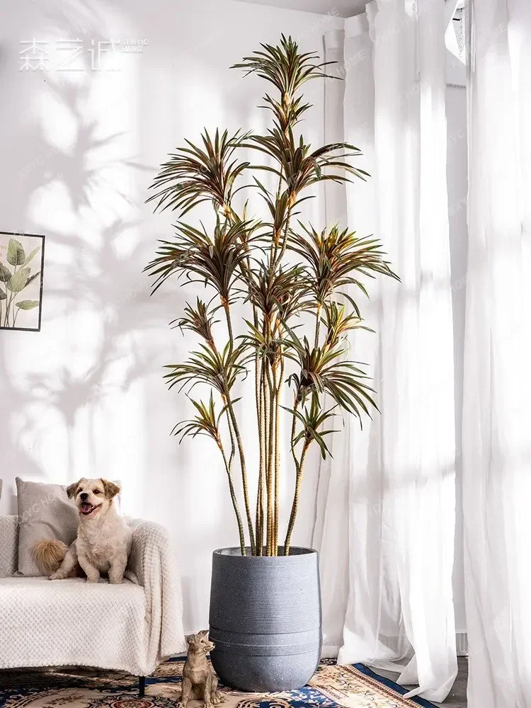 Искусственное растение Драцена – обзор и цена Dracaena Marginata