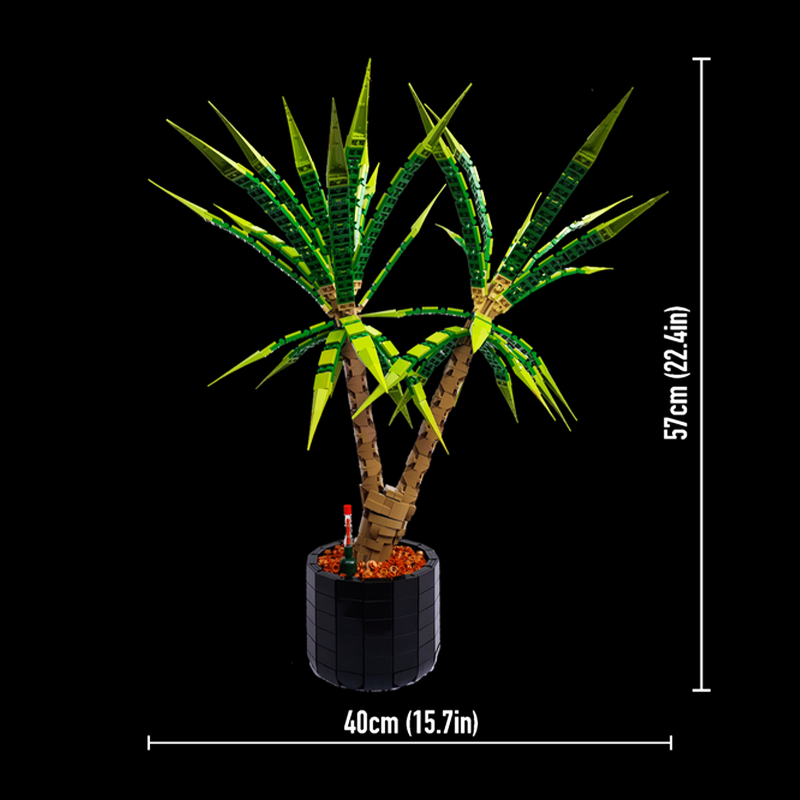 1961 деталь MOC Dracaena Margi – обзор и цена Dracaena Marginata