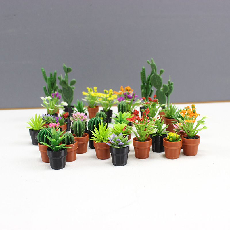 Мини-имитация растений, модель – обзор и цена Echeveria Succulent