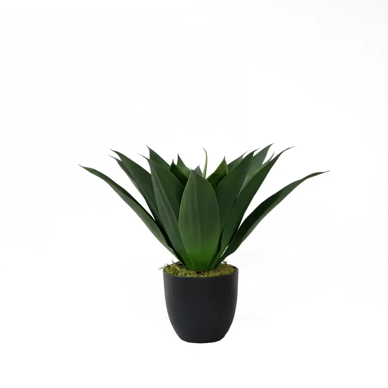 Искусственное растение алоэ ве – обзор и цена Aloe Vera Pot